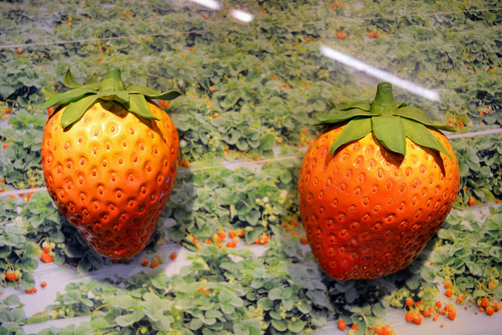 苗栗大湖景點 大湖酒莊 草莓文化館 買草莓周邊商品 品嚐草莓特色料理 小玉兒 趴趴走 痞客邦