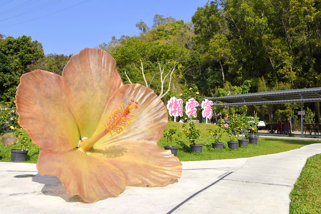 懶雲窩朱槿花_DSC6302.jpg