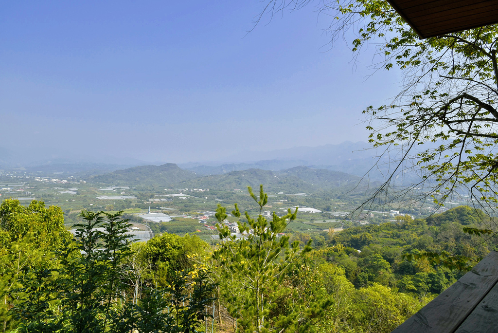 綠色空間_DSC8140.jpg