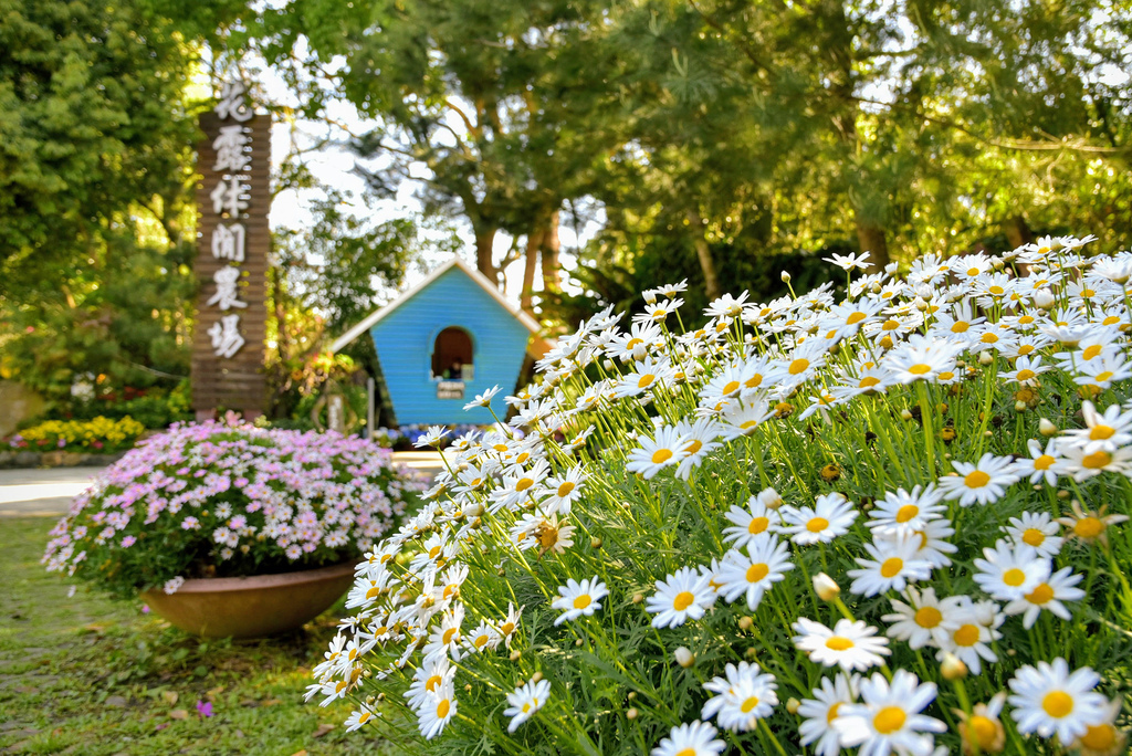 花露農場_DSC9863.jpg