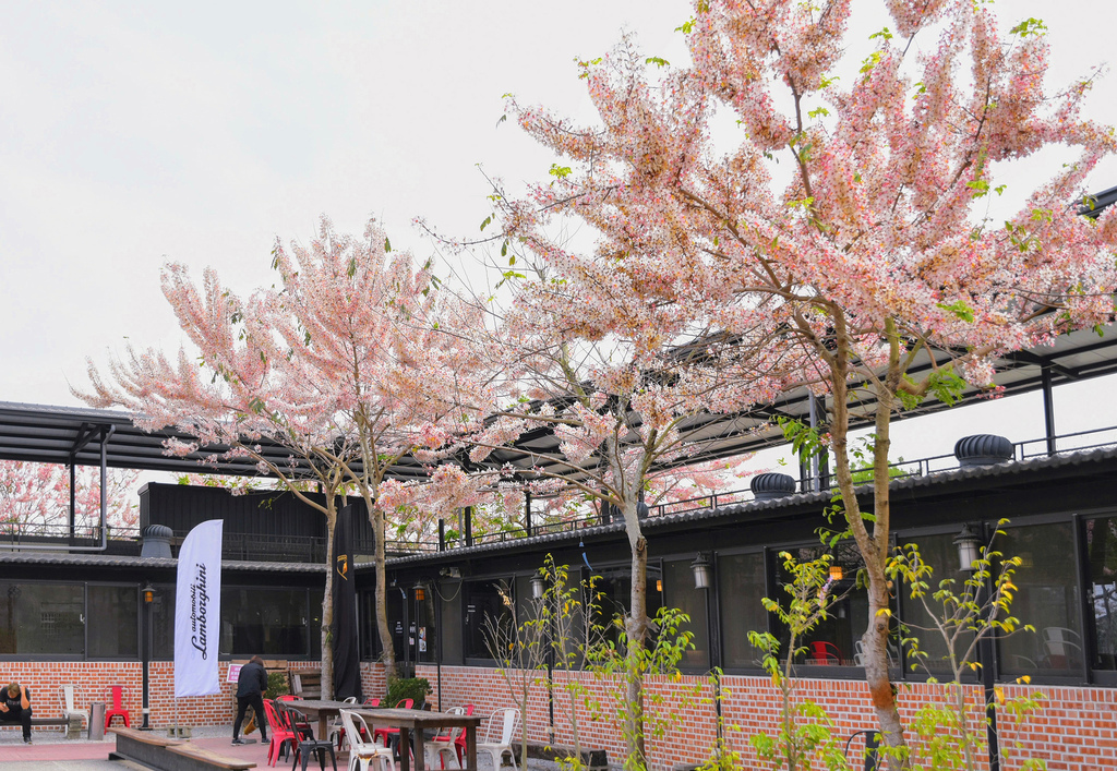 澄霖沉香味道森林館 雲林虎尾景點 花旗木季 粉色秘境花園 Media Monster
