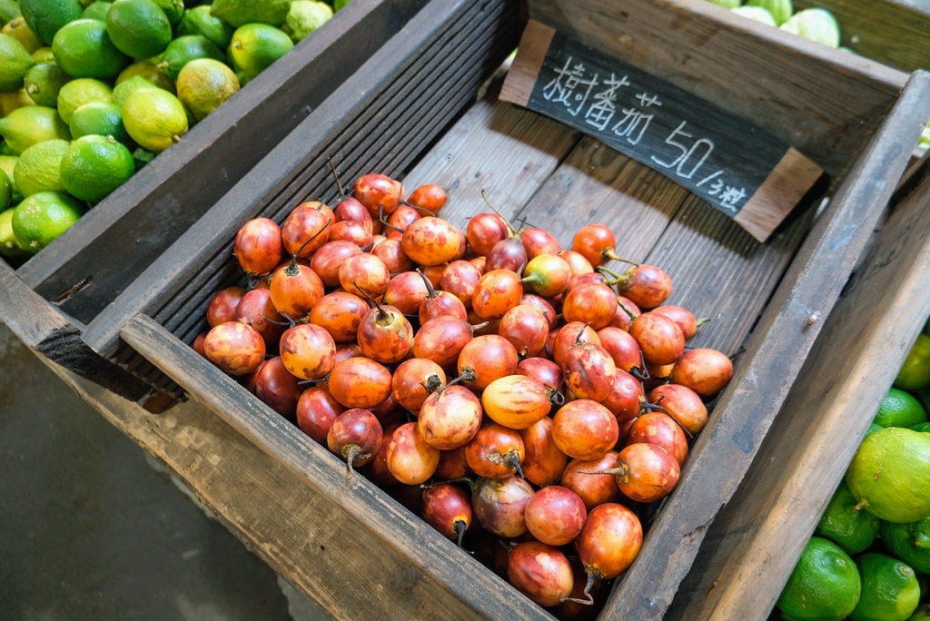 達娜伊谷_DSF1435 (2).jpg 達娜伊谷_DSF1435 (2).jpg