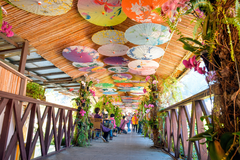 楓樺台一渡假村_DSC4673 (1).jpg 楓樺台一渡假村_DSC4673 (1).jpg