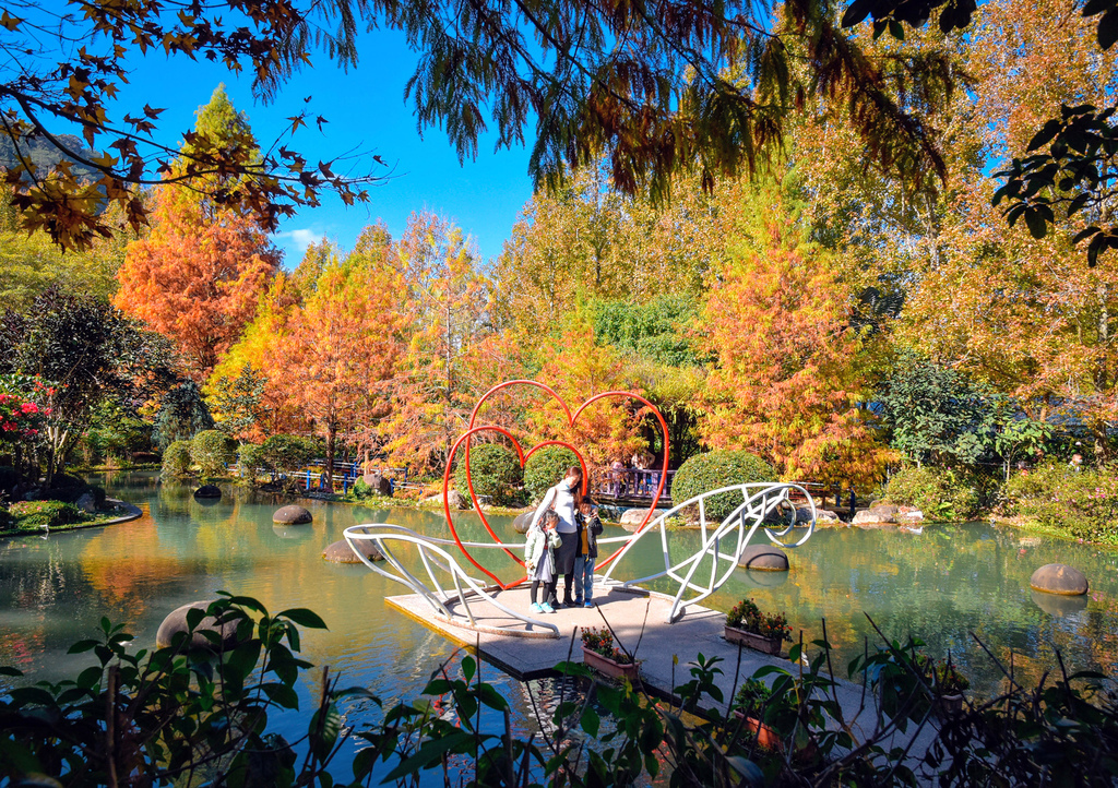 楓樺台一渡假村_DSC4641 (1).jpg 楓樺台一渡假村_DSC4641 (1).jpg