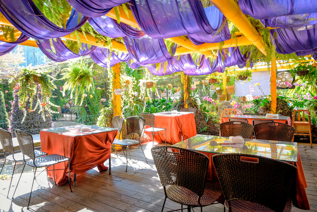 楓樺台一渡假村_DSC4735 (1).jpg 楓樺台一渡假村_DSC4735 (1).jpg