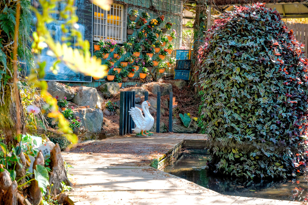 楓樺台一渡假村_DSC4755 (1).jpg 楓樺台一渡假村_DSC4755 (1).jpg