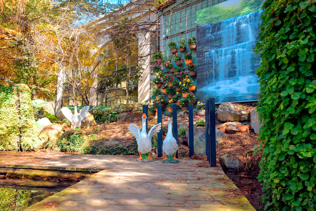 楓樺台一渡假村_DSC4761 (1).jpg 楓樺台一渡假村_DSC4761 (1).jpg