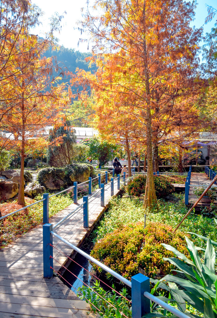 楓樺台一渡假村_DSC4786 (1).jpg 楓樺台一渡假村_DSC4786 (1).jpg