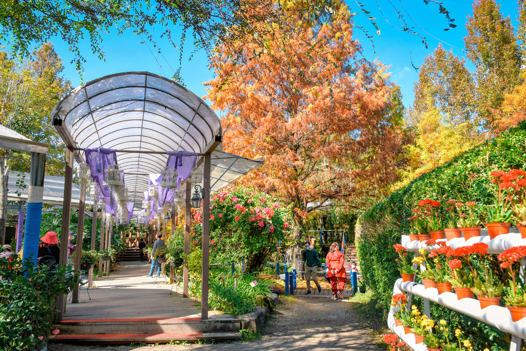 楓樺台一渡假村_DSC4778 (1).jpg 楓樺台一渡假村_DSC4778 (1).jpg