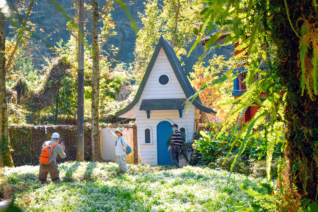 楓樺台一渡假村_DSC4804 (1).jpg 楓樺台一渡假村_DSC4804 (1).jpg