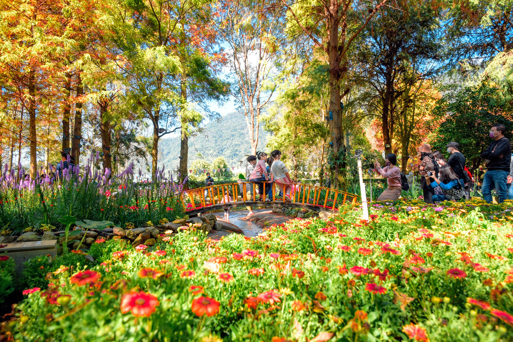 楓樺台一渡假村_DSC4821 (1).jpg 楓樺台一渡假村_DSC4821 (1).jpg