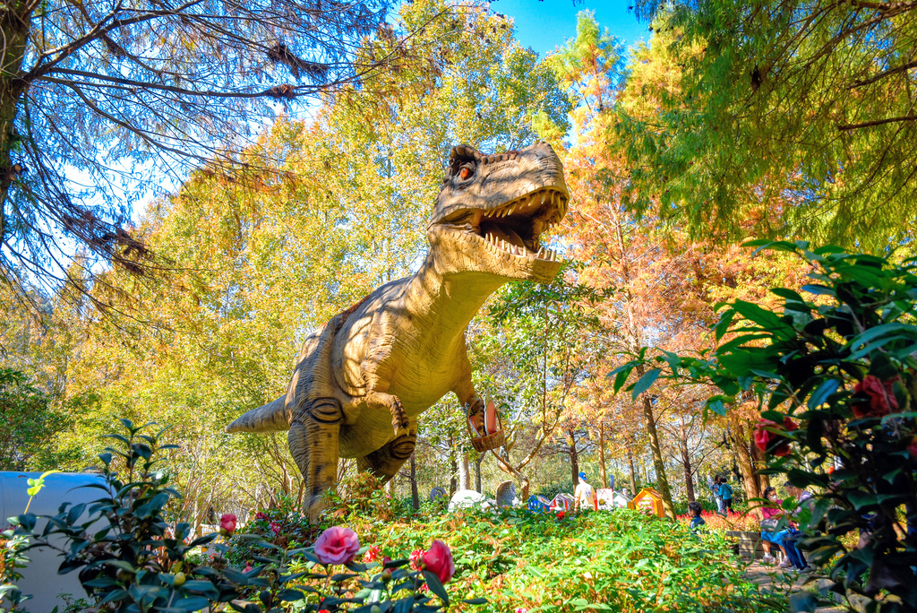 楓樺台一渡假村_DSC4819 (1).jpg 楓樺台一渡假村_DSC4819 (1).jpg