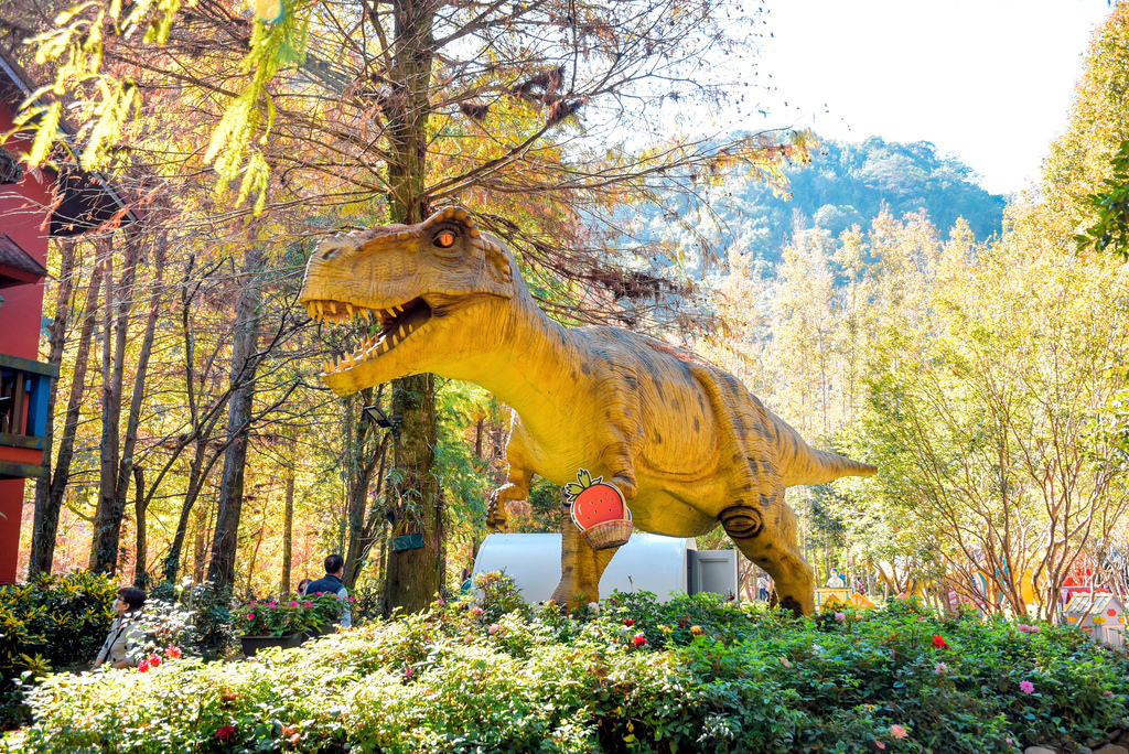 楓樺台一渡假村_DSC4824 (1).jpg 楓樺台一渡假村_DSC4824 (1).jpg