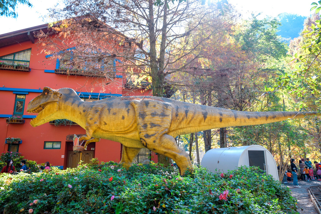 楓樺台一渡假村_DSC4828 (1).jpg 楓樺台一渡假村_DSC4828 (1).jpg