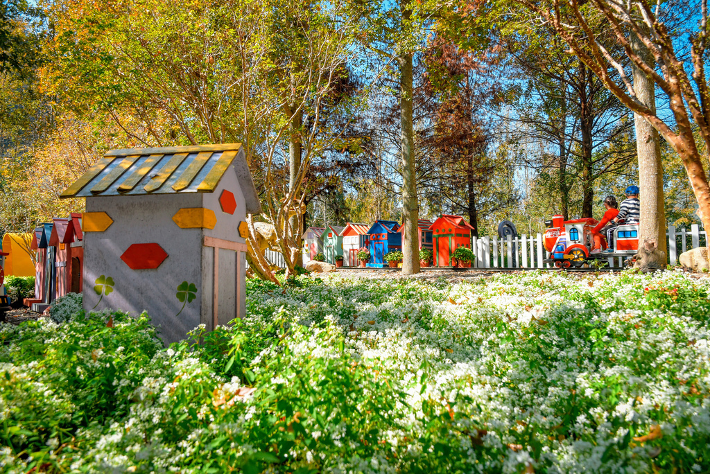 楓樺台一渡假村_DSC4840 (1).jpg 楓樺台一渡假村_DSC4840 (1).jpg