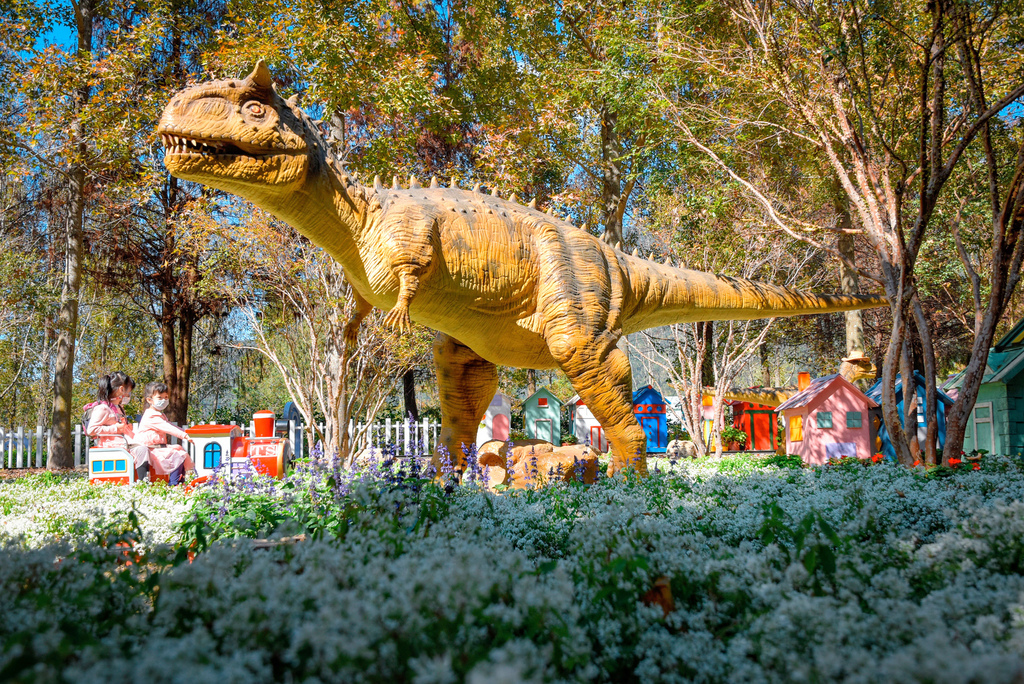 楓樺台一渡假村_DSC4862 (1).jpg 楓樺台一渡假村_DSC4862 (1).jpg