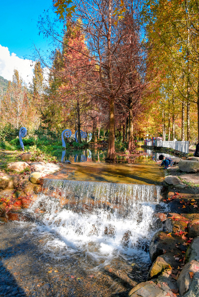 楓樺台一渡假村_DSC4868 (1).jpg 楓樺台一渡假村_DSC4868 (1).jpg