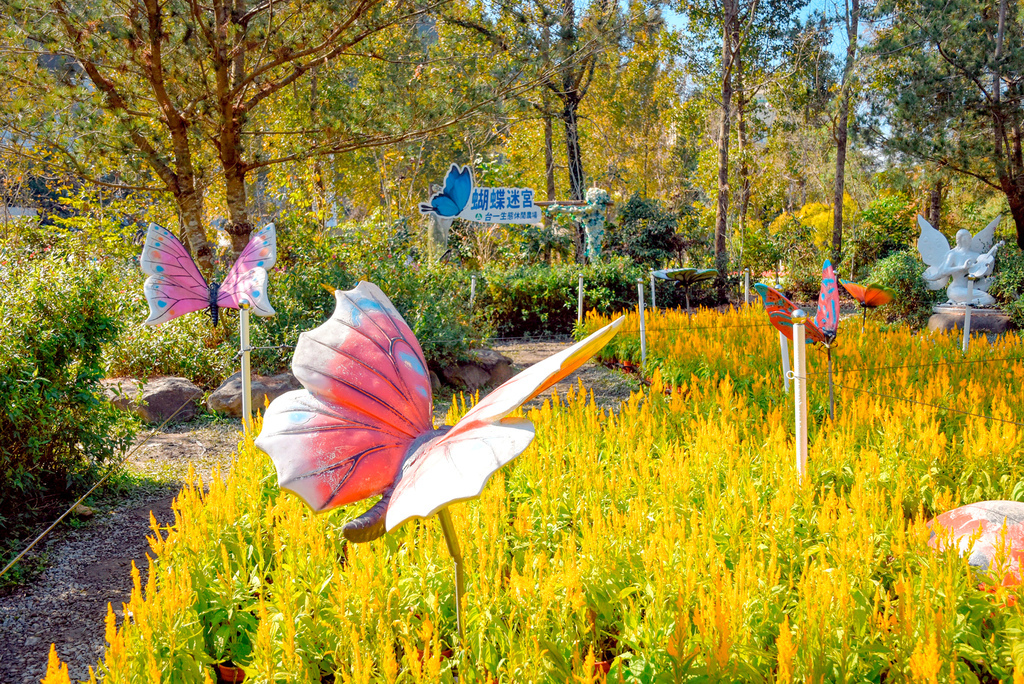 楓樺台一渡假村_DSC4887 (1).jpg 楓樺台一渡假村_DSC4887 (1).jpg