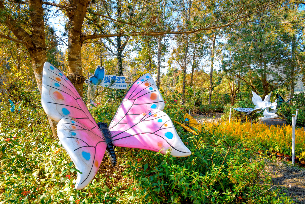 楓樺台一渡假村_DSC4878 (1).jpg 楓樺台一渡假村_DSC4878 (1).jpg