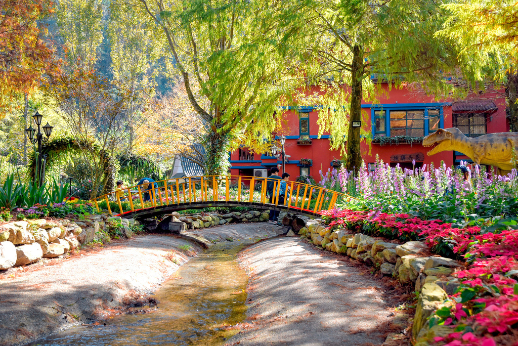 楓樺台一渡假村_DSC4900 (1).jpg 楓樺台一渡假村_DSC4900 (1).jpg