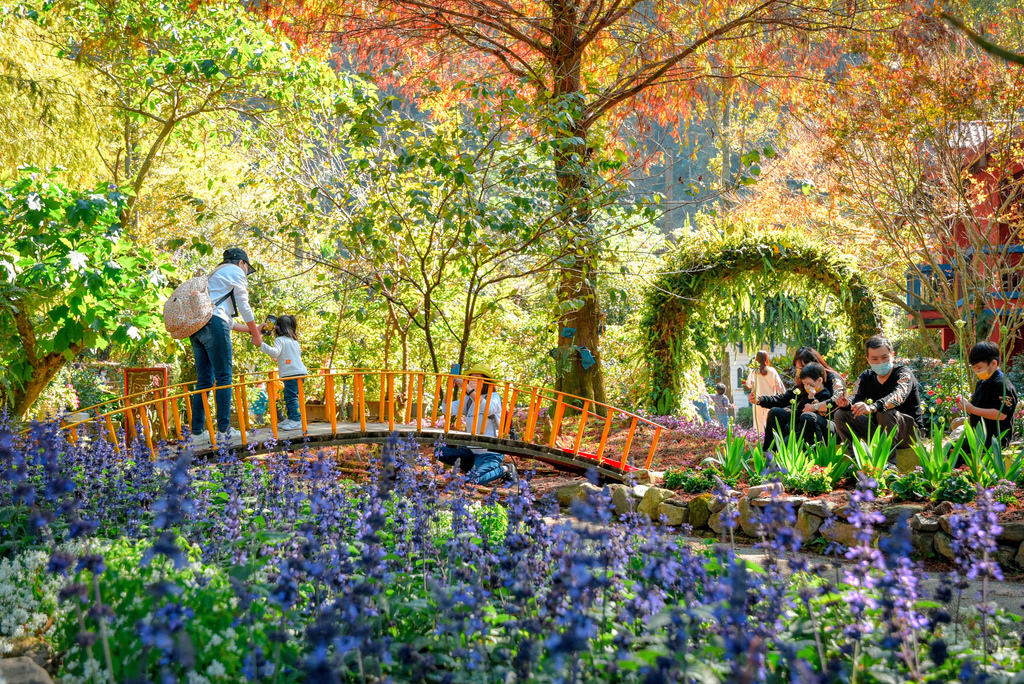 楓樺台一渡假村_DSC4904 (1).jpg 楓樺台一渡假村_DSC4904 (1).jpg