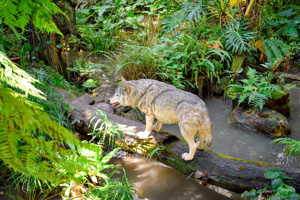楓樺台一渡假村_DSC4920 (1).jpg 楓樺台一渡假村_DSC4920 (1).jpg