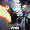 紅之王仁子.gif