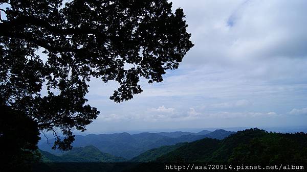 楊梅阿嬤平台觀景