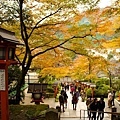 kyoto017.jpg