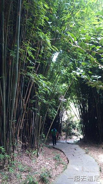 guanyinshan-002.JPG guanyinshan-002.JPG