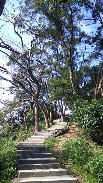 DSC_3902.JPG DSC_3902.JPG