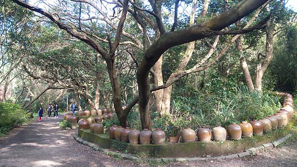 DSC_3917.JPG DSC_3917.JPG