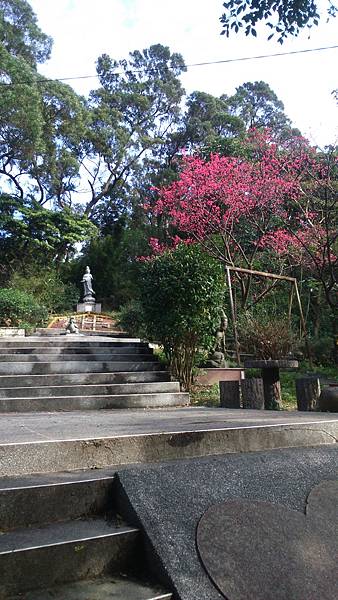 DSC_3923.JPG DSC_3923.JPG