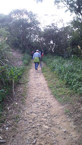 DSC_3970.JPG DSC_3970.JPG