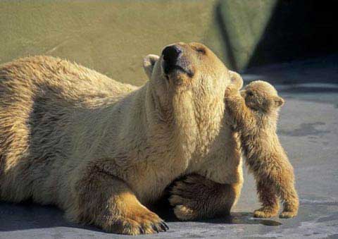 Mummy please!!!!!!