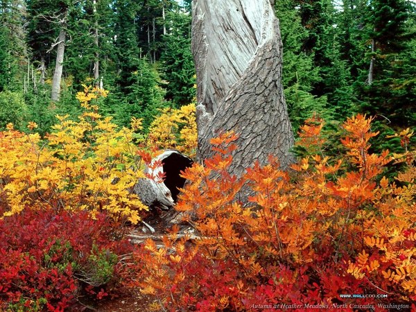 The Beautiful Scenery of Autumn 36