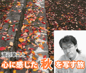 aki-watanabe2.gif aki-watanabe2.gif