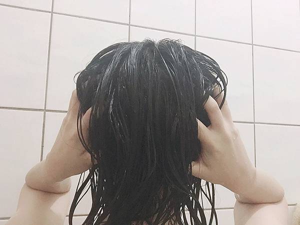 33 試用