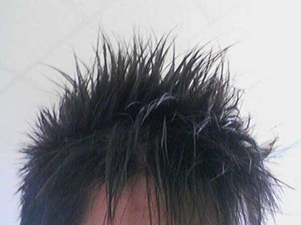 20071203556.jpg