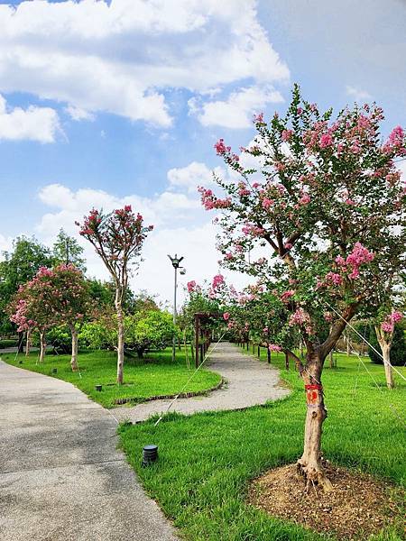 彰化景點｜成美文化園．浪漫盛開的紫薇花｜日式庭園建築, 百年