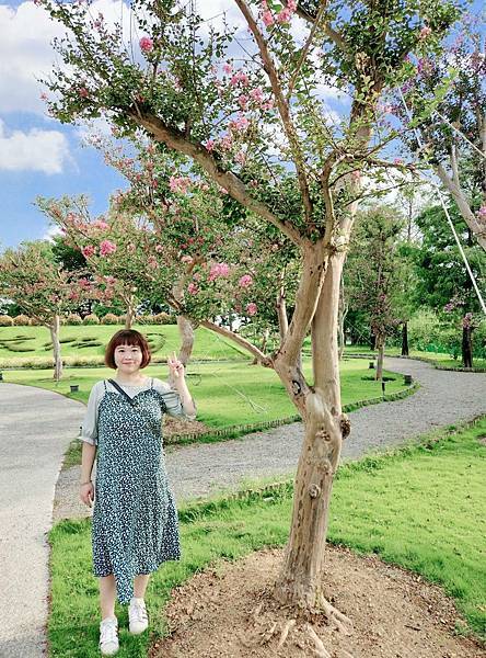 彰化景點｜成美文化園．浪漫盛開的紫薇花｜日式庭園建築, 百年