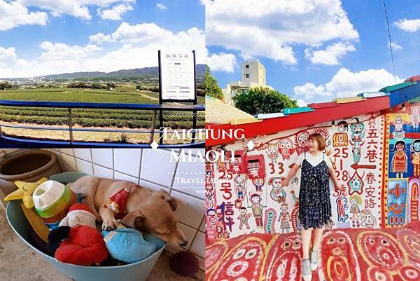 苗栗台中輕旅｜銅鑼茶廠 ‧ 慢旅行中找回生活的意義｜浪浪別哭