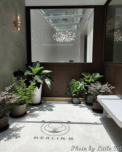 IMG20200726113011.jpg IMG20200726113011.jpg