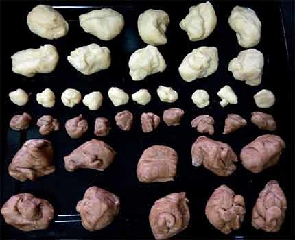 雙色泰迪熊鮮奶油餐包3