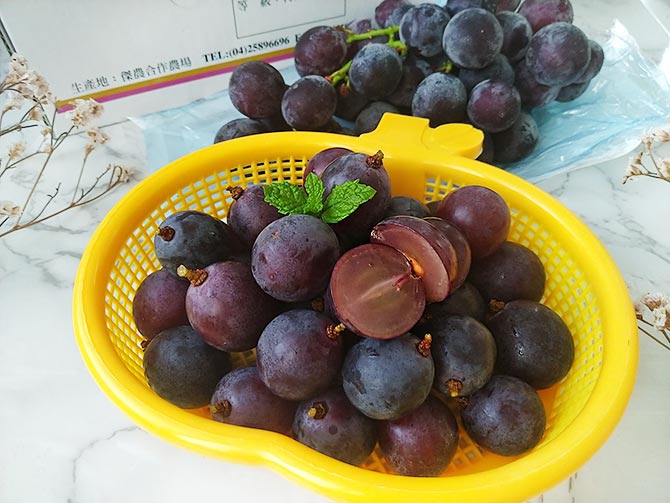 菓寳食8.jpg 菓寳食8.jpg