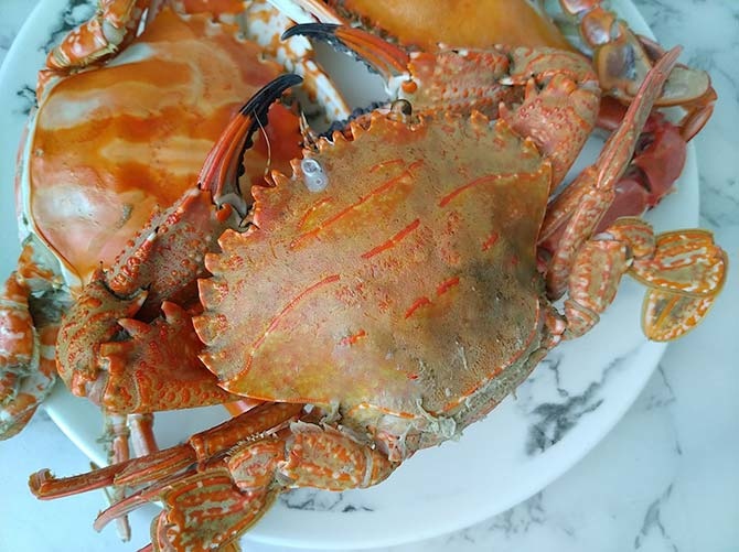 宅配 無毒農 宅配萬里蟹 ３款人氣螃蟹 產地直送新鮮到府 小蝶的小小廚房 痞客邦