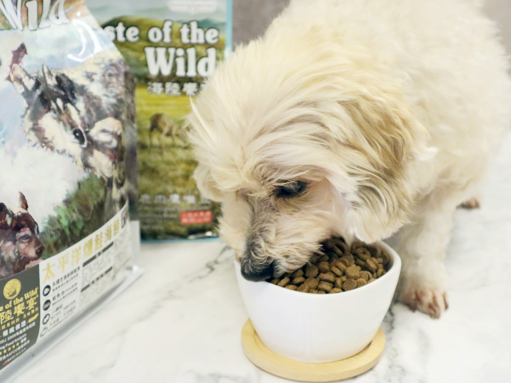 [寵物推薦飼料 ]海陸饗宴-狗飼料系列，美國權威寵物雜誌WD