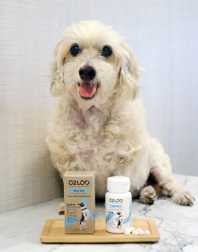 [狗狗關節保健推薦]OZLOO奧茲羅˙犬專用關節保健，專利高