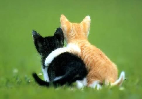 b84249621ecbdab92582f7b4f5d541cd b84249621ecbdab92582f7b4f5d541cd