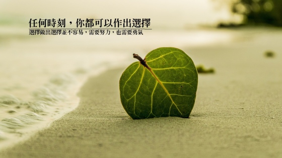 article_335_1482236367_1 article_335_1482236367_1